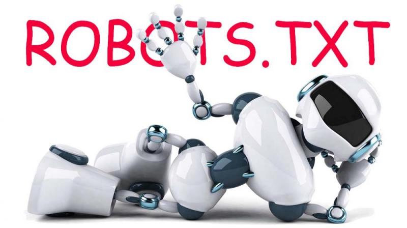 Что такое robots.txt и зачем он нужен в Вологде